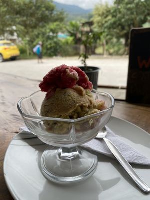   at Mishqui Quinde Sweet Hummingbird in Mindo