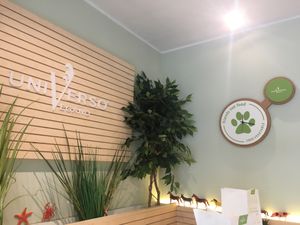 inside😄super cute at Universo Vegano in Florence