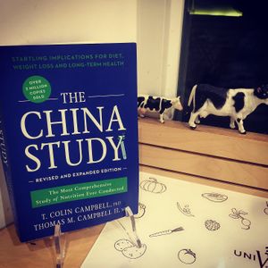 English China Study  at Universo Vegano in Florence