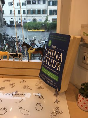 Holy book at Universo Vegano in Florence