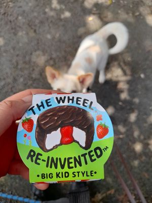  at Vegonia Wholefoods in Porthmadog