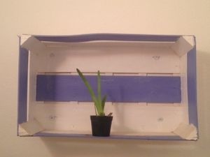 Colourfull recycled wood
Very charming decorated terrace
Cape Verdean style
Local plants at Cape Fruit in Santa Maria