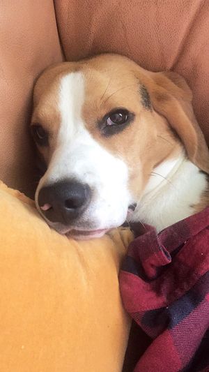 cb at Aroma Vegan in Frankfurt