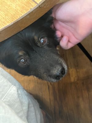  at Naspolya Nassolda in Budapest