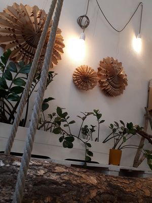  at Naspolya Nassolda in Budapest