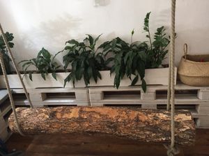 Log swing 😍😍😍 at Naspolya Nassolda in Budapest