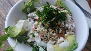 Salad at Judahlicious in San Francisco