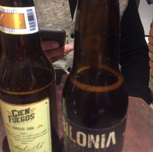 beer  at U.to.pi.a in Mexico City