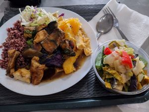 Combo plate w more more more on the side!!😋 at Tofoo Com Chay in San Jose