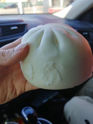 Steamed Bun: These were not given to us heated up. They were ok but would have been much better hot. at Tofoo Com Chay in San Jose