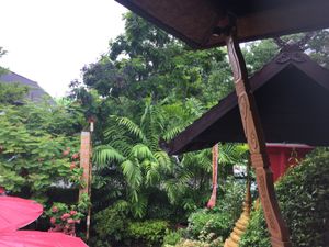 View from our table  at The Whole Earth in Chiang Mai