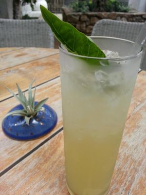 basil lemonade at Plant Food + Wine in Los Angeles