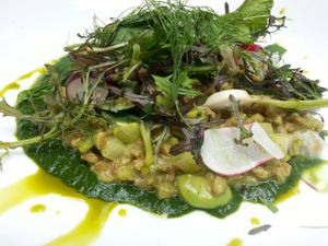 Sprouted Farro Risotto at Plant Food + Wine in Los Angeles