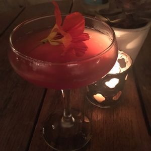 mock tails at Plant Food + Wine in Los Angeles