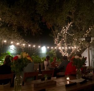 the garden  at Plant Food + Wine in Los Angeles