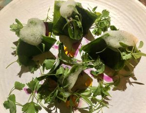 Kim Chee dumplings the best! at Plant Food + Wine in Los Angeles