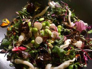 Dont remember the name but a Japanese salad at Plant Food + Wine in Los Angeles