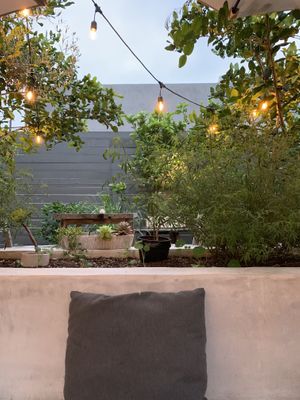The Courtyard at Plant Food + Wine in Los Angeles