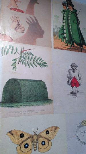  at Le Botaniste in Ghent