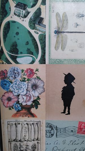  at Le Botaniste in Ghent