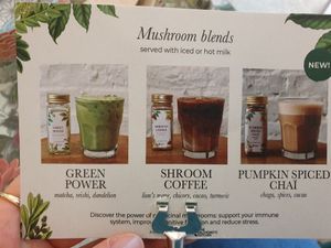 Mushroom blends at Le Botaniste in Ghent