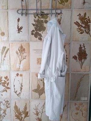 Quirky decor adding visual interest to Le Botaniste at Le Botaniste in Ghent