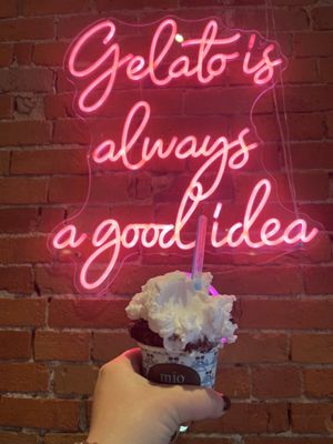 Lemon sorbet and chocolate pudding   at Mio Gelato in Kingston