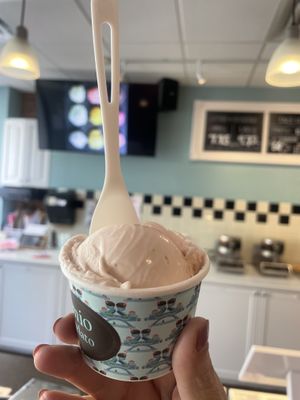 Strawberry kiwi gelato   at Mio Gelato in Kingston