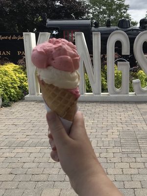 Vegan strawberry, peach, and raspberry on a vegan cone  at Mio Gelato in Kingston