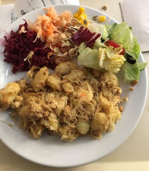 Halušky (potato "gnocchi") with sauerkraut and tempeh, veggies, sprouts, etc.. at Country Life Restaurant in Prague