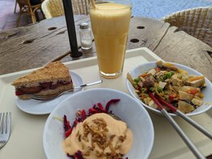 Cold salad, warm tofu dish on rice, plum cake, fresh orange and ginger dish. Total 285k at Country Life Restaurant in Prague