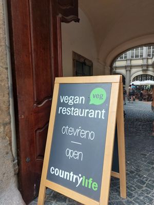 Marvellous place.   Buffet style.  Load your plate.  Pay by weight.  Delicious salads, pasta rice vegetables  mixed plates... all very tasty.  Plus deserts and drinks... ALL VEGAN. at Country Life Restaurant in Prague