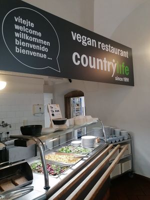 Salad bar at Country Life Restaurant in Prague