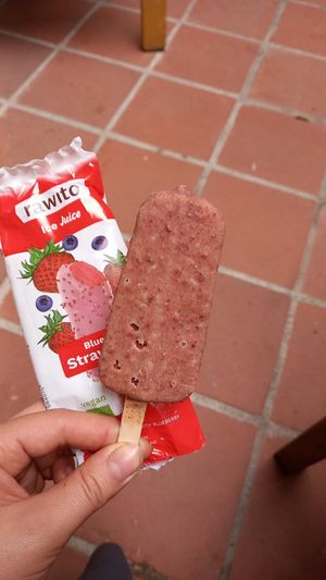 blueberry strawberry popsicle 45,5czk ≈ 1,83€ at Country Life Restaurant in Prague