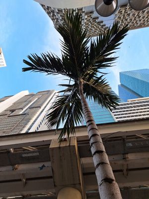  at Whole Foods Market in Miami