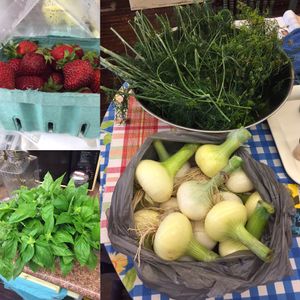 fresh eats from three local growers  at Seasons' Eatings in Napoleon