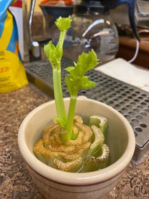 Fun little crop of celery at Seasons' Eatings in Napoleon