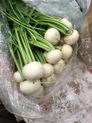 Beautiful turnips from Bittersweet Gardens for sale or to taste in a kitchen creation here   at Seasons' Eatings in Napoleon