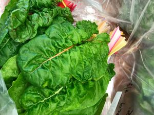 Rainbow swiss chard from local grower.  I feel healthier just LOOKING at this! at Seasons' Eatings in Napoleon