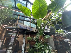 Open air!  at SanChon Korean Temple Cooking - 산촌 사찰음식전문점 in Seoul