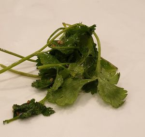 oddly placed cilantro... not sure why at SanChon Korean Temple Cooking - 산촌 사찰음식전문점 in Seoul