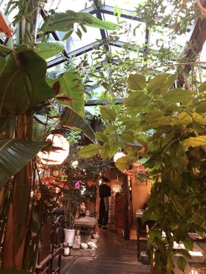 Urban jungle in Sanchon. =) at SanChon Korean Temple Cooking - 산촌 사찰음식전문점 in Seoul