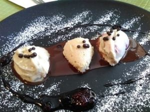 Ice cream, homemade at Ugata Bakery in Kibbutz Kineret