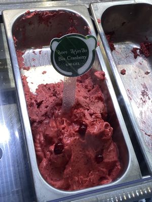   at Luca Polare in Tbilisi