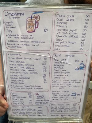   at Falafel Zone in Istanbul