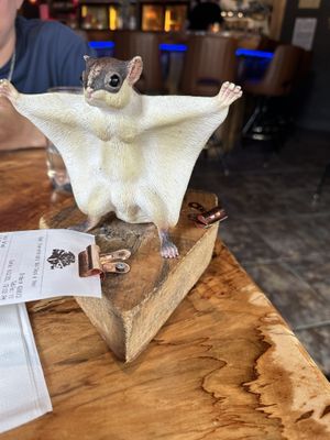   at The Burrowing Owl in Colorado Springs