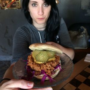 vegan sloppy joes!!!!!!!!!! at The Burrowing Owl in Colorado Springs