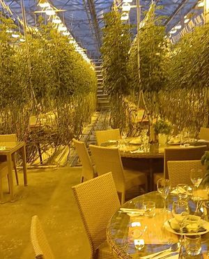 The restaurant at Fridheimar in Reykholt