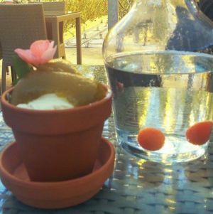 ice cream with green tomatoes sauce at Fridheimar in Reykholt