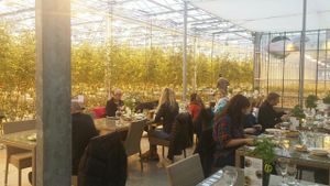 enough space  at Fridheimar in Reykholt